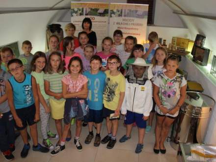 Zakończyła się Wystawa Pszczelarska w Galerii Pod Ratuszem